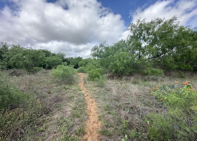 rental at 17603 Shepherd Rd in Atascosa, TX — photo 5