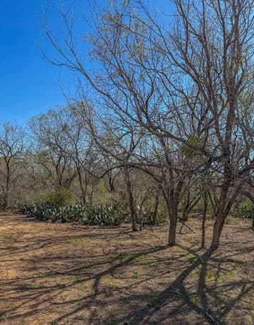 rental at TRACT 3 Fm 539 in La Vernia, TX — photo 2