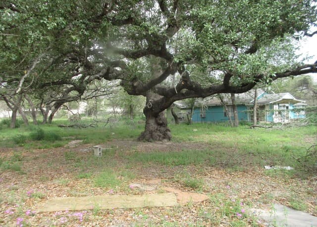 rental at 23753 Us Highway 281 So in San Antonio, TX — photo 1