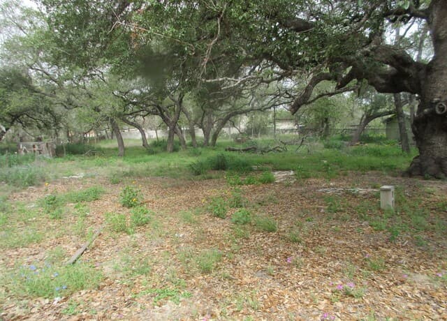 rental at 23753 Us Highway 281 So in San Antonio, TX — photo 2