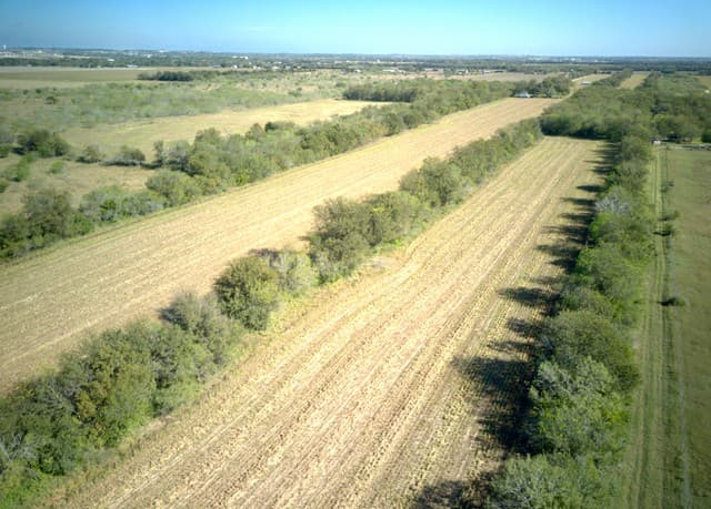 rental at -- Concordia Lane in Cibolo, TX — photo 2