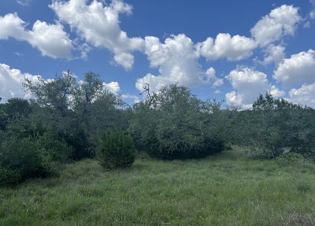 rental at 636 Rock Trail Pl in Spring Branch, TX — photo 4