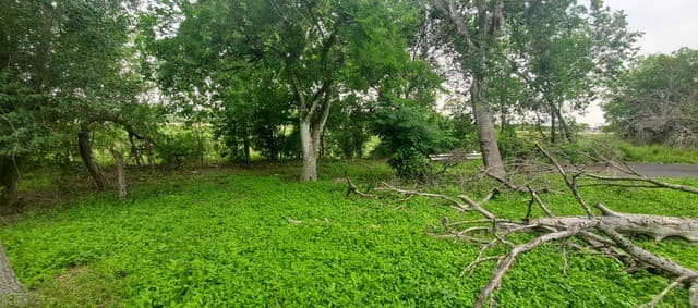 rental at 354 Bundy in San Antonio, TX — photo 2