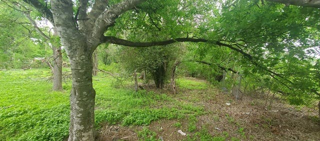rental at 354 Bundy in San Antonio, TX — photo 3