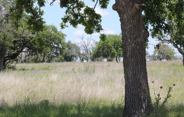 rental at 132 Pack Saddle Ln in Fredericksburg, TX — photo 1