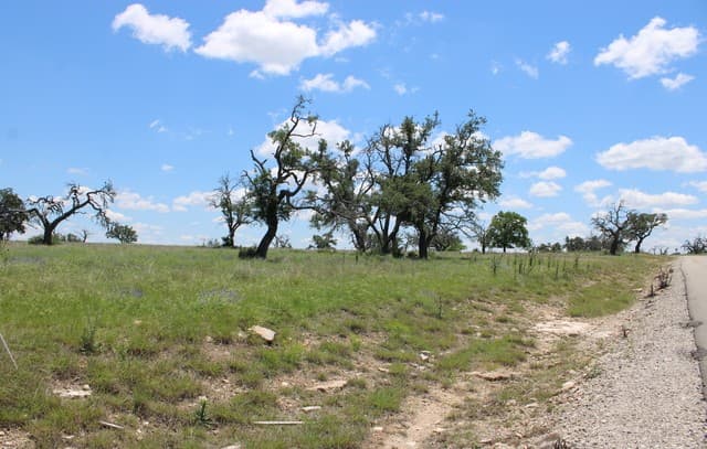 rental at 132 Pack Saddle Ln in Fredericksburg, TX — photo 3