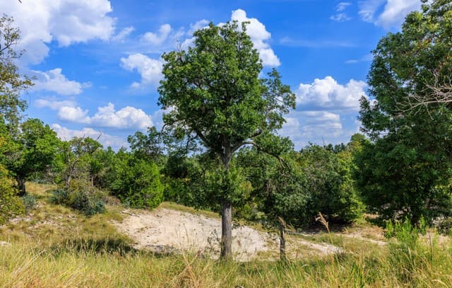 rental at LOT 7 Longview Dr. in Fredericksburg, TX — photo 5