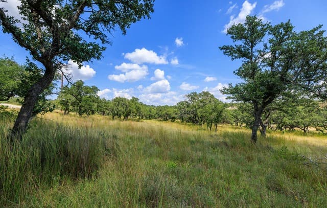 rental at 189 Fallen Acorn in Blanco, TX — photo 5
