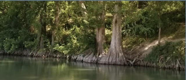 rental at 1331 Misty Ln in Spring Branch, TX — photo 1