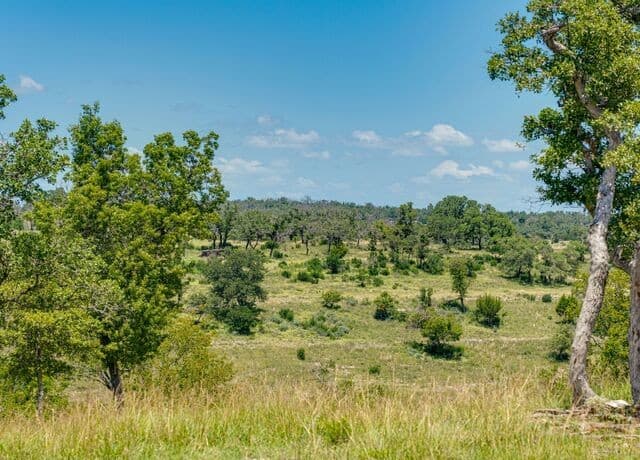 rental at 19 N Cielo Vista Ct in Fredericksburg, TX — photo 5
