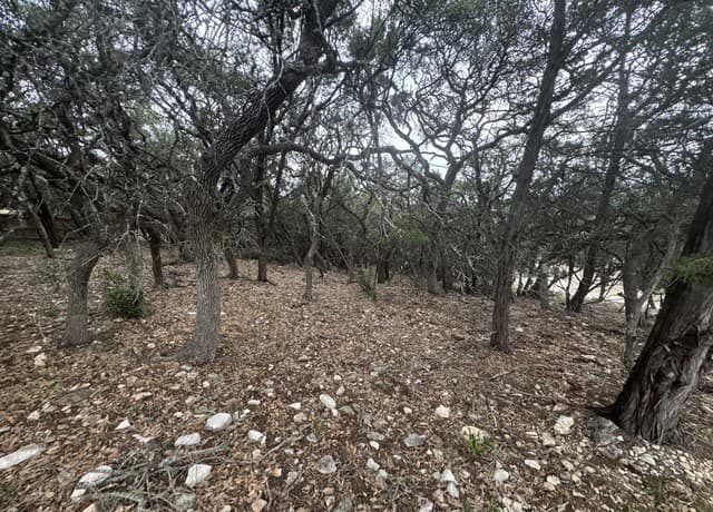 rental at 25918 Silver Cloud Dr in San Antonio, TX — photo 5