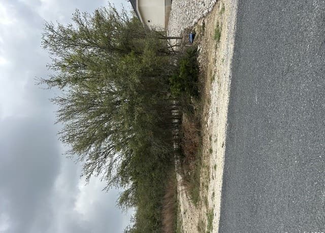 rental at 226 Roy Nichols in Blanco, TX — photo 2