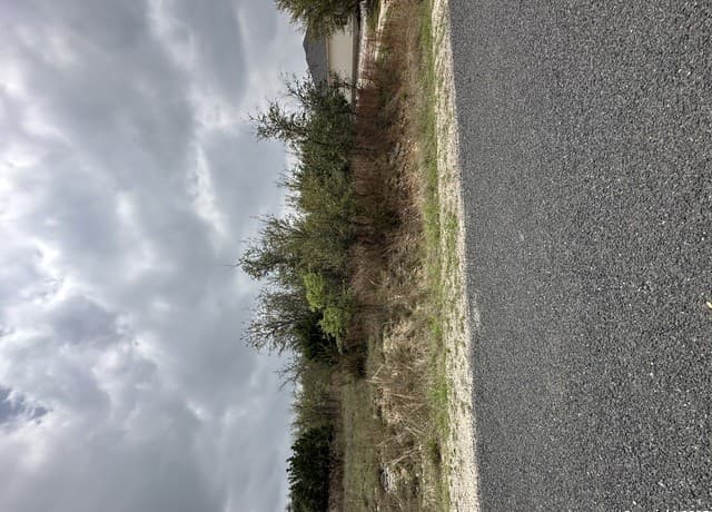 rental at 226 Roy Nichols in Blanco, TX — photo 3