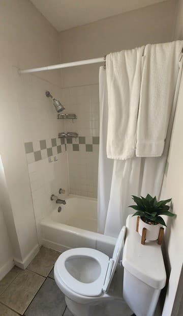 rental at 423 W Magnolia Ave in San Antonio, TX — photo 5