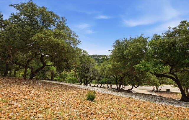 5-bedroom rental at 19519 Terra Mont in San Antonio, TX — photo 5