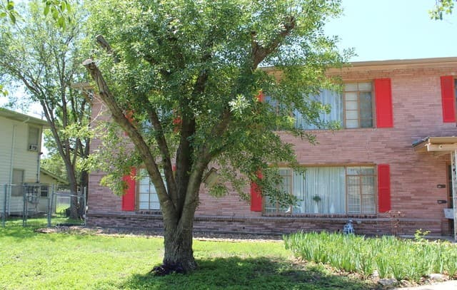 rental at 206 Senisa Dr in San Antonio, TX — photo 5