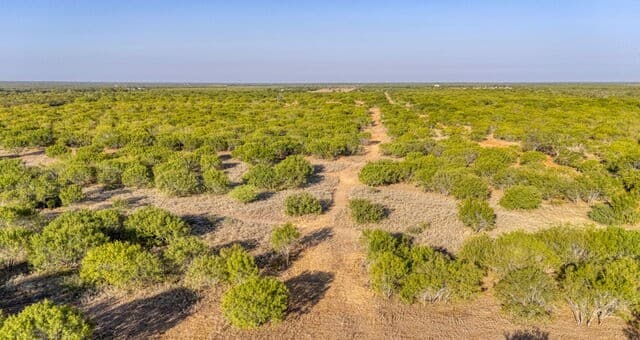 home for sale at TBD Cr 331 W in Jourdanton TX