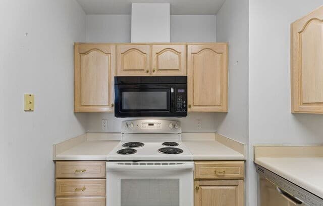2-bedroom rental at 1 Towers Park Ln Unit 1202 in San Antonio, TX — photo 5