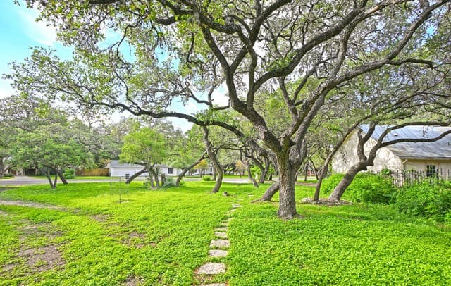 2-bedroom rental at 303 S Manton Ln in Castle Hills, TX — photo 1