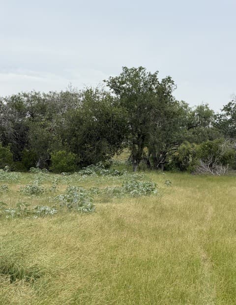 home for sale at 6038 County Road 405 in Floresville TX