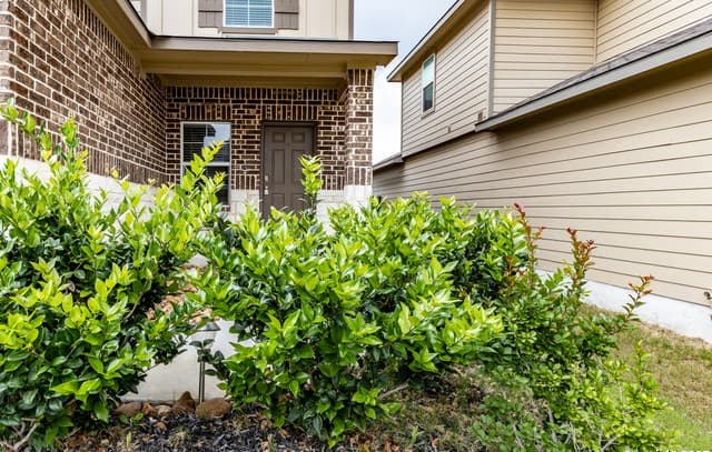 4-bedroom rental at 4242 Busbee Fields in St Hedwig, TX — photo 4