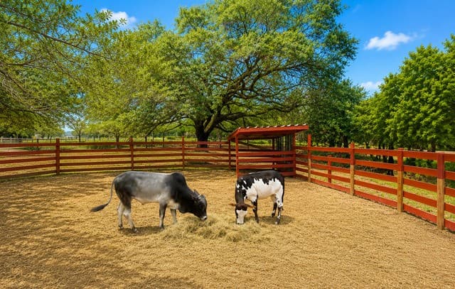 Home for sale at 1169 Old Adams Ln in Pleasanton, TX — photo 5