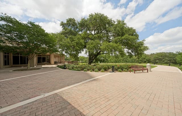 1-bedroom rental at 1 Towers Park Ln Unit 1004 in San Antonio, TX — photo 2