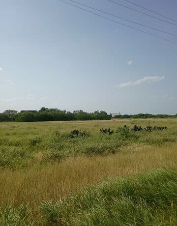 home for sale at TBD Cr 308a in Jourdanton TX