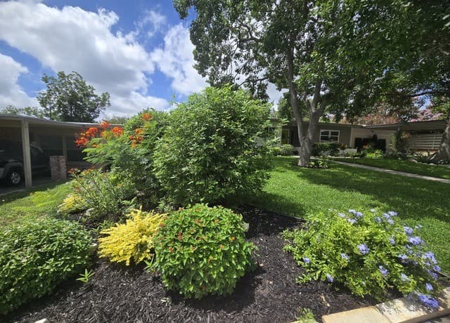Home for sale at 250 Springwood Ln in San Antonio, TX — photo 4