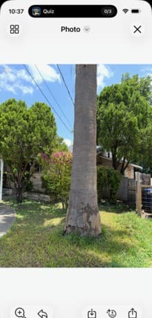 Home for sale at 1026 Gibbs in San Antonio, TX — photo 4