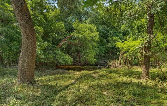 Home for sale at 2634 County Road 4713 in LaCoste, TX — photo 2