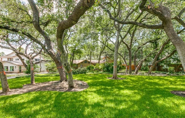 4-bedroom rental at 236 Castano in Alamo Heights, TX — photo 3