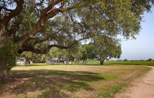 Home for sale at 4901 LOWER SEGUIN (5 Acres) RD in Cibolo, TX — photo 1