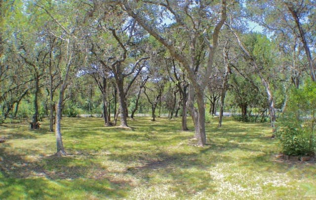 Home for sale at 10950 Paloma in Helotes, TX — photo 3