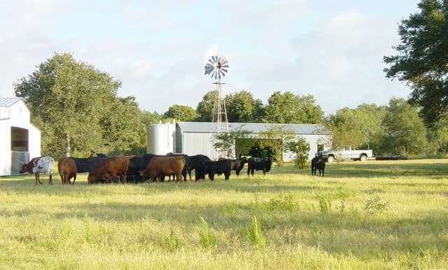 home for sale at 1700 Bruce in Poteet TX