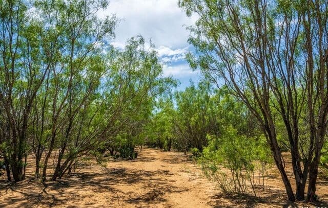 home for sale at FM2200 2200 in Yancey TX