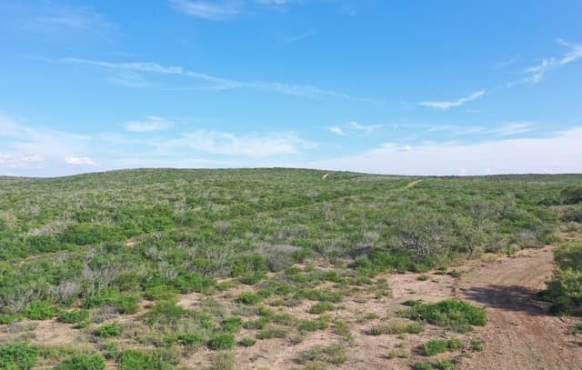 home for sale at 00 Fm 140 in Pearsall TX