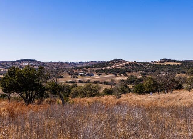 home for sale at 717 N Scenic Hills Court in Blanco TX