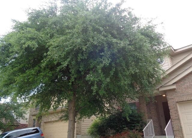 3-bedroom rental at 654 Rattler Bluff in San Antonio TX