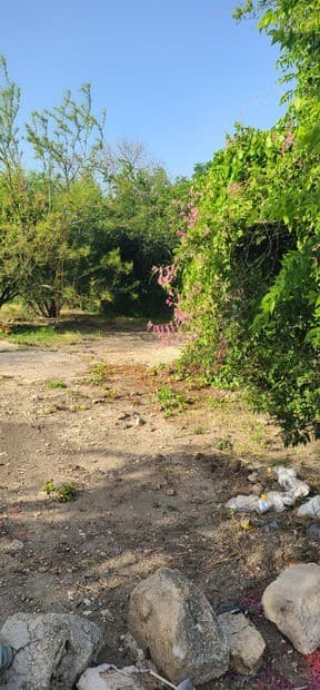 home for sale at 2219 W Martin St in San Antonio TX